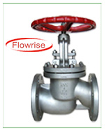 Globe Valves